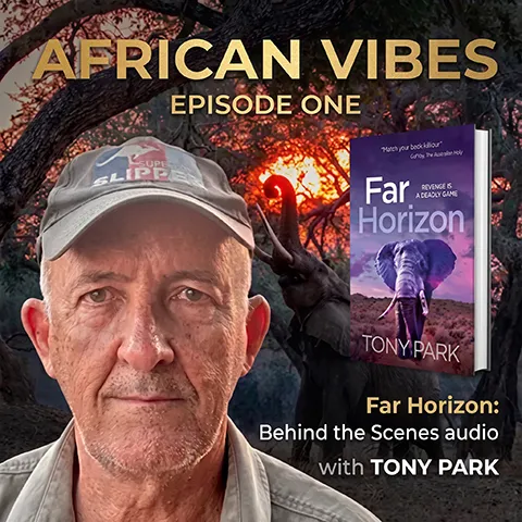 African Vibes